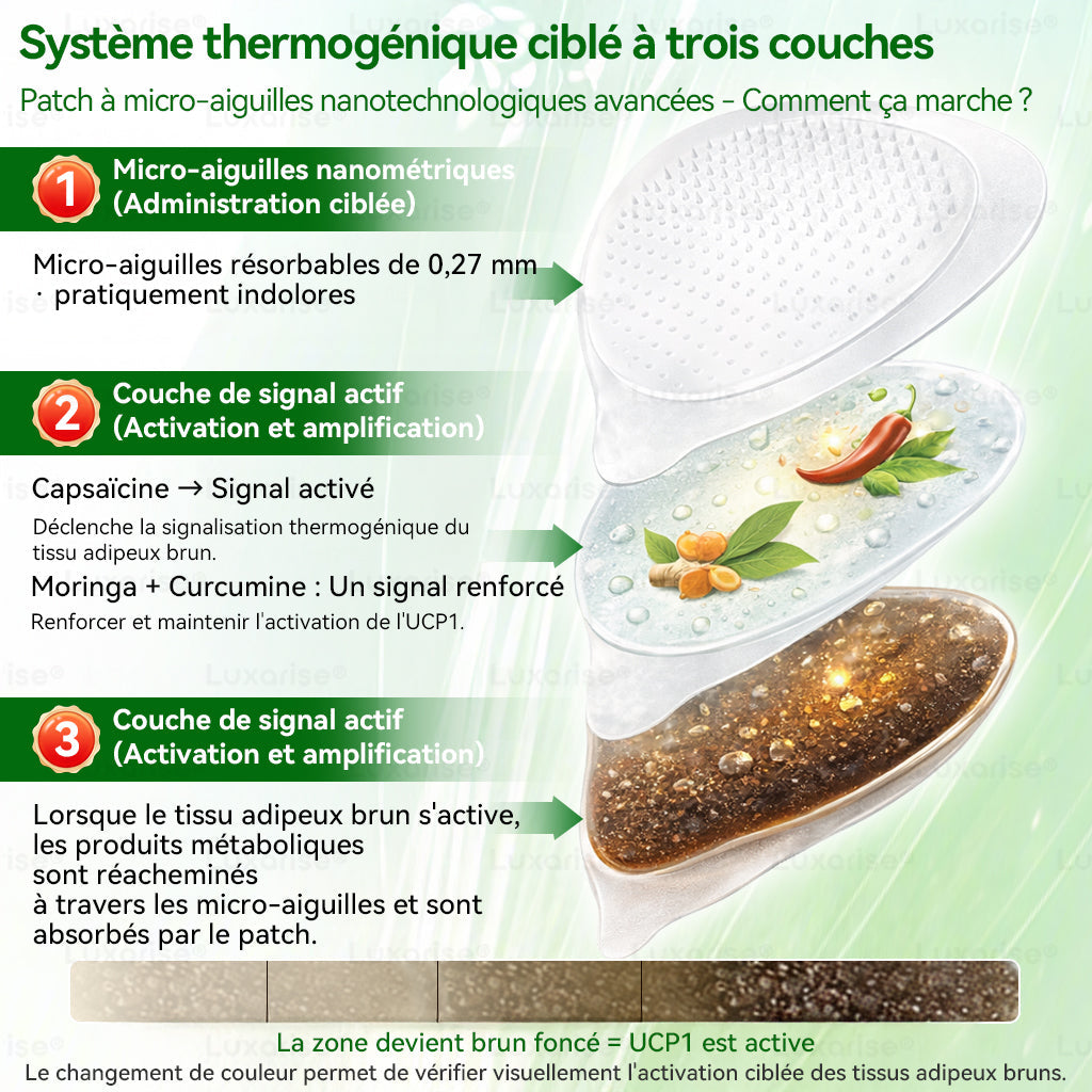 Magasin Officiel | 🧑‍⚕️🩺 Luxarise® Moringa & Bérbérine 10-en-1 Patch Nanomicro-aiguilles Avancé (Une application quotidienne, résultats visibles en 7 jours) ✅Obésité, Diabète, Apnée du sommeil, Problèmes articulaires