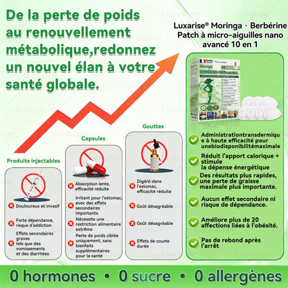 Magasin Officiel |🩺Luxarise® Moringa & Bérbérine 10-en-1 Patch Nanomicro-aiguilles Avancé👩‍⚕️ (Une application quotidienne, résultats visibles en 7 jours) 🩹 Obésité, Diabète, Apnée du sommeil, Problèmes articulaires🌿